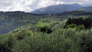 Yoga Retreat in Lucca Hills, Tuscany Italy